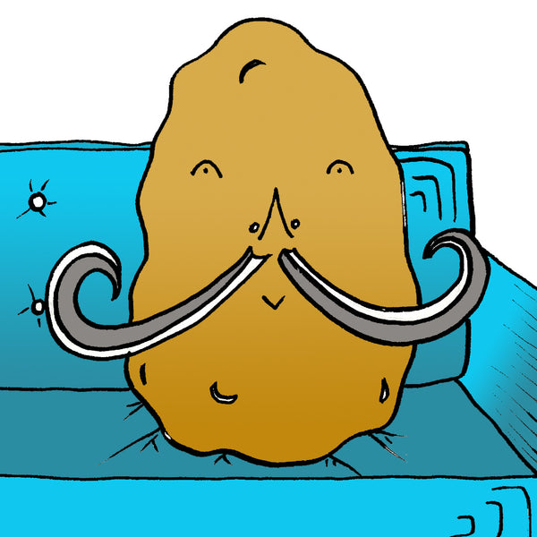 Couch Potato Home Print - Jessie husband